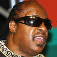 Icono de programa: Stevie wonder songs offli…
