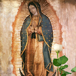 Icon of program: La Rosa de Guadalupe