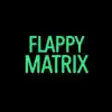 Icon of program: Flappy Matrix