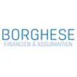 Icon of program: Borghese Financin & Assur…