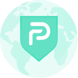 Icono de programa: PaladinVPN