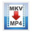 Icon of program: MKV2MP4