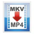 Icon of program: MKV2MP4