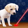 Icon of program: Laser Pointer for Dogs