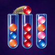 Icon of program:  Magic Ball: Sort Fever