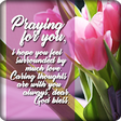 Icon of program: Sympathy Wishes Cards and…