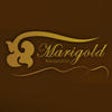 Icon of program: Marigold Relaxation