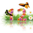 Icono de programa: Flowers Time Screensaver
