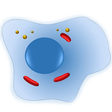 Icon of program: Cell Biology-101