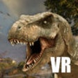 Icon of program: VR
