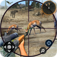 Icono de programa: Wild Animal Shooting