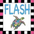 Icon of program: Vero Beach Flash