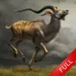 Icon of program: 2016 Deer Hunting New Adv…