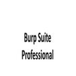 Icon of program: Burp Suite Professional