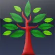 Icon of program: Redwood Family Tree Free