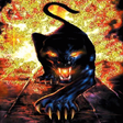 Icon of program: Fire Jaguar Live Wallpape…