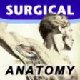 Icon of program: Surgical Anatomy - Studen…