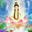 Icono de programa: Guanyin Buddha live wallp…