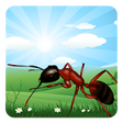 Icon of program: Ant Farm