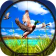 Icon of program: New Wild Duck Hunting 3D …