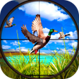 Icon of program: New Wild Duck Hunting 3D …