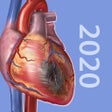 Icon of program: Physiology & Pathology