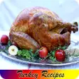 Icon of program: Turkey Recipes