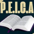 Icon of program: PEICA
