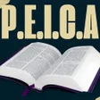Icon of program: PEICA