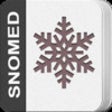 Icon of program: SNOMED CT Lite