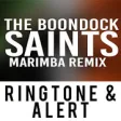 Icon of program: The Boondock Saints Marim…