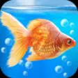 Icon of program: Goldfish Aquarium 3D PRO