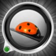 Icon of program: ChromaCam Free
