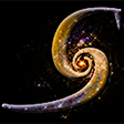 Icon of program: SpamSit