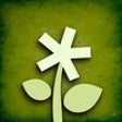 Icon of program: Bloom*