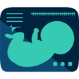 Icon of program: Obstetrics & Gyenacology …
