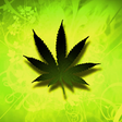 Icono de programa: Weed HD Live Wallpaper