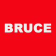 Icon of program: BRUCE - Mobile Sales Forc…