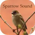 Icon of program: Sparrow Sounds - Free Sou…