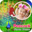 Icon of program: Peacock Photo Frame