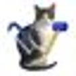 GizmoRBControls icon