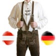 Icon of program: idict Austrian