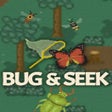 Icono de programa: Bug  Seek