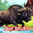 Icon of program: Nat Kbzks