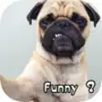 Icon of program: Funny Dog Pictures and Wa…