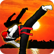 Icon of program: Taekwon Hero
