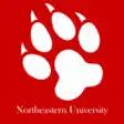 Icon of program: Northeastern University C…