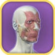 Icon of program: 3D Facial Anatomy Tool