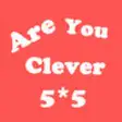 Icon of program: Are You Clever ? - 5X5 Pu…