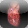 Icon of program: Virtual Heart